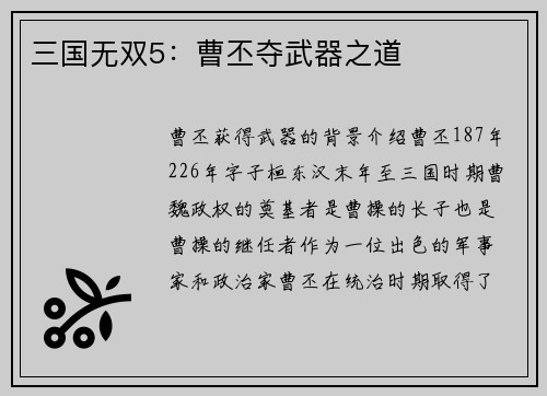 三国无双5：曹丕夺武器之道